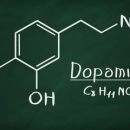 Neurology 215: Dopamine - It's Not Just For Pleasure | Chiropractic Continuing Ed Online image