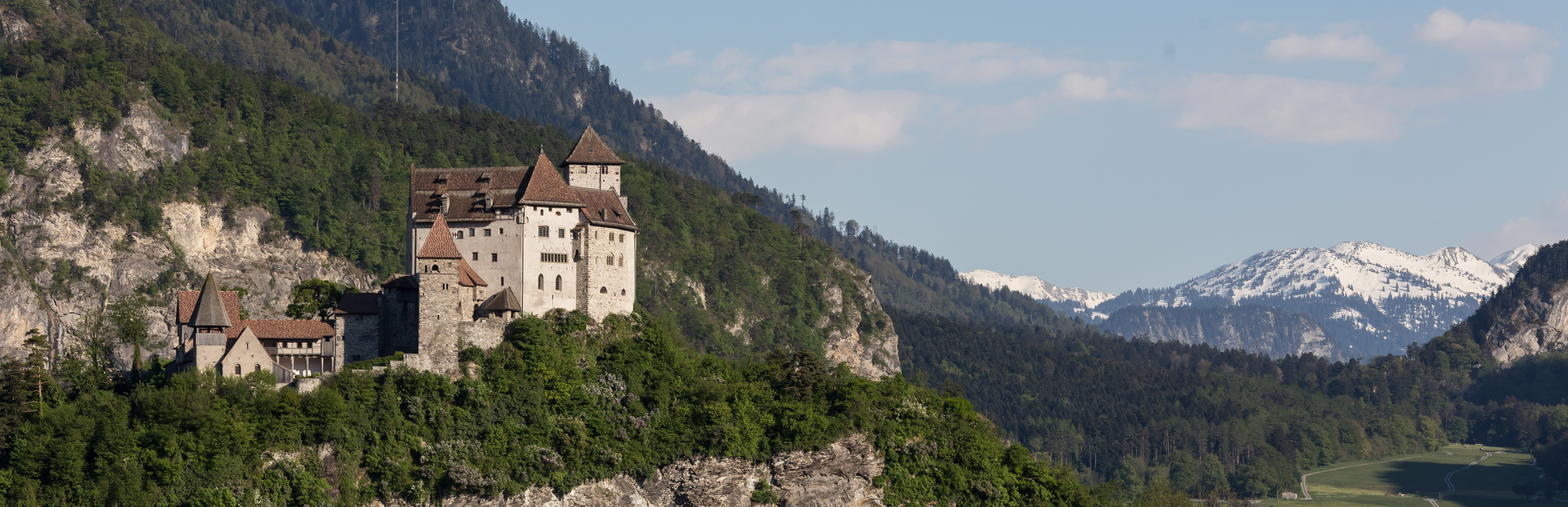Liechtenstein chiropractic continuing professional development requirements