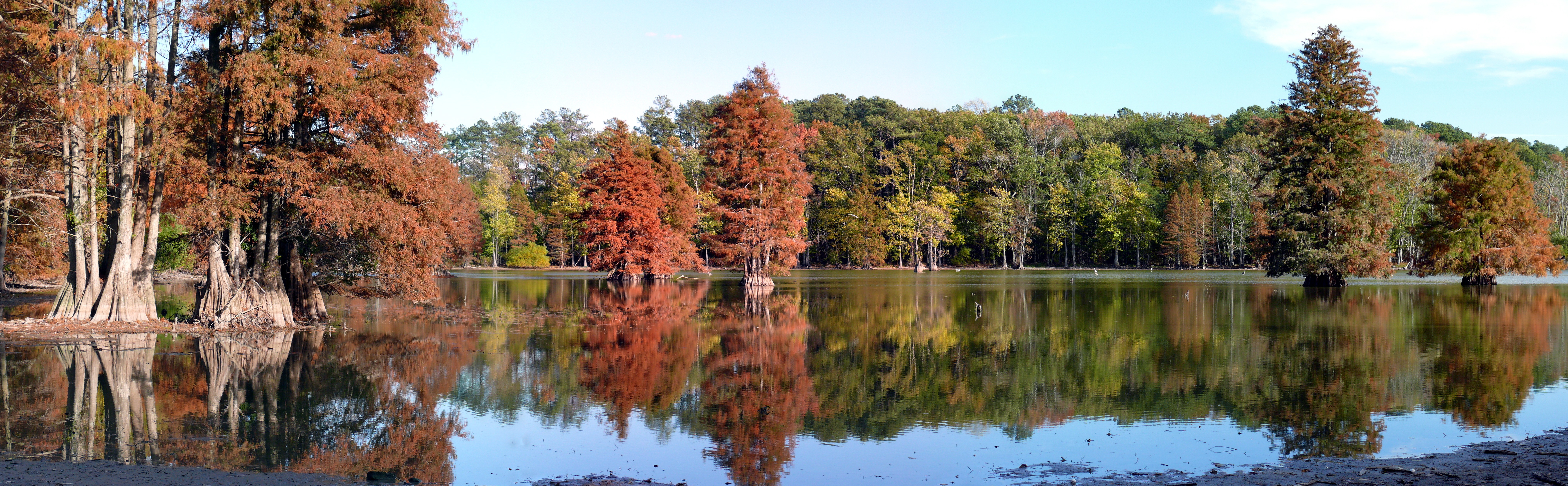 Virginia chiropractic continuing education