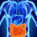 Nutrition 213: An Integrative Approach to Gastrointestinal Disease image