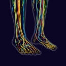02/22/2022 7-9 PM CT Nutrition 369: Nutritional management of Neuropathy image